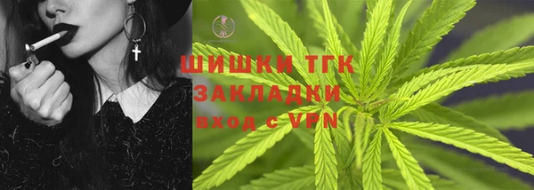 a pvp Пересвет