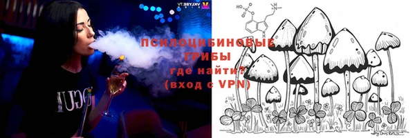 спиды Навашино